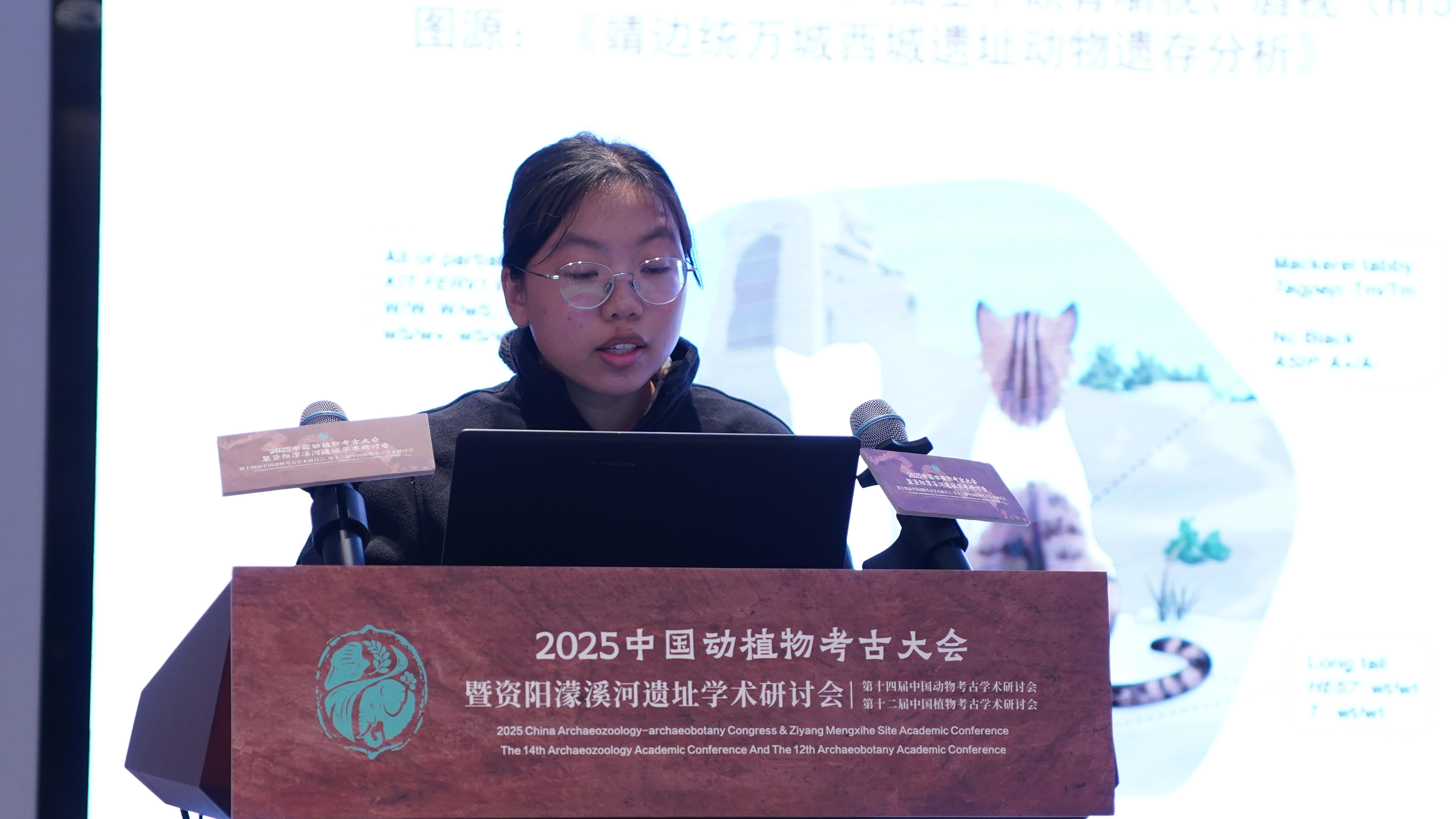 DSC01139.JPG DSC01139.JPG